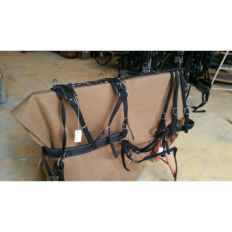 harnais paire polypro confort occasion