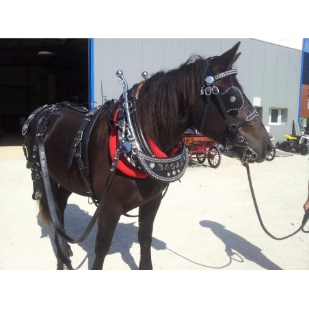 Harnais pour chevaux équipement haute visibilité pour léquitation Equipement de sécurité ajustable pour la sangle de poitrine de cheval pour le cyclisme sur route collier de poitrine LED pour chevaux 